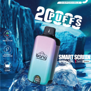Bang 25000 Puffs 超大屏幕 超大容量可充電拋棄式電子煙 台灣現貨