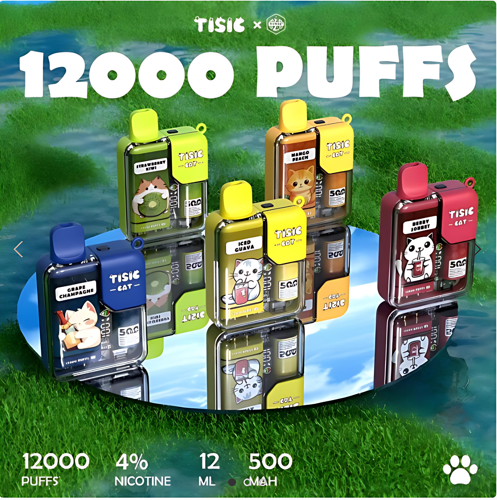 TISIC 貓 12000 Puffs 貓咪拋棄式電子煙|可充電一次性主機|大煙霧持久口感|台灣現貨快速出貨 2 TISIC 貓 12000 Puffs 貓咪拋棄式電子煙|可充電一次性主機|大煙霧持久口感|台灣現貨快速出貨 - 图片 2